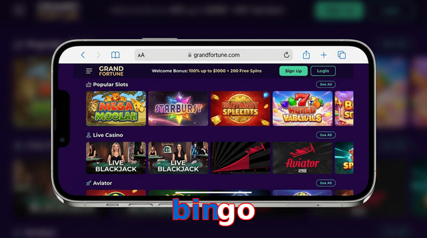 Main screen of Bingo ios page for PK players