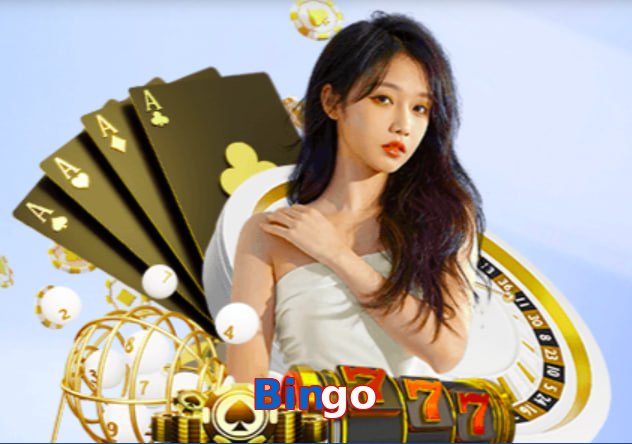 Bingo game app for Pakistan players